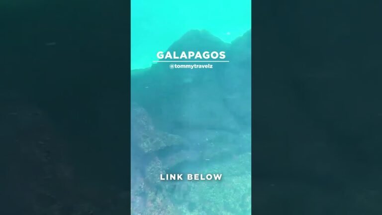 #TommyTravelz #travelnow #traveltips #galapagos #sancristobal #santacruz #islabaltra #isabelaisland